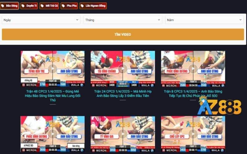 Xem các video đá gà của các sư kê nổi tiếng tại AZ888 Xem các video đá gà của các sư kê nổi tiếng tại AZ888
