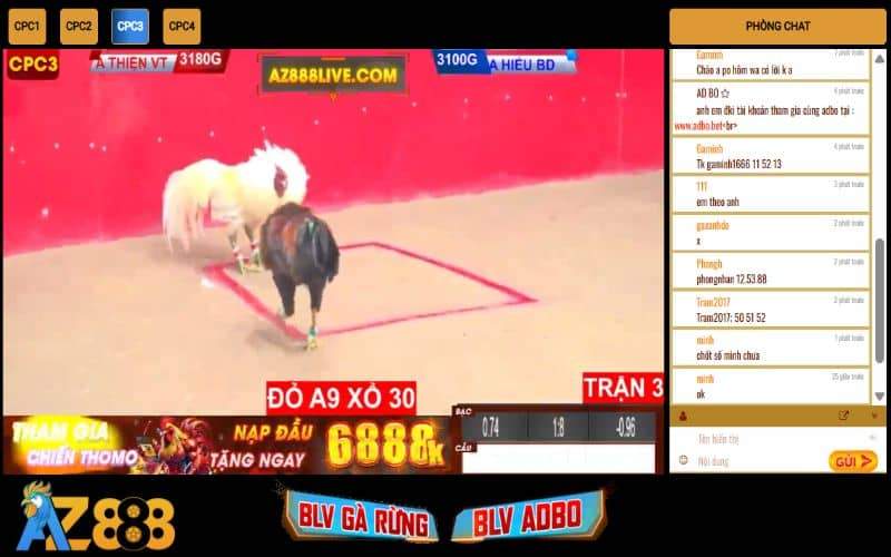 Xem trực tiếp đá gà có bình luận viên nhưng không đặt cược Xem trực tiếp đá gà có bình luận viên nhưng không đặt cược